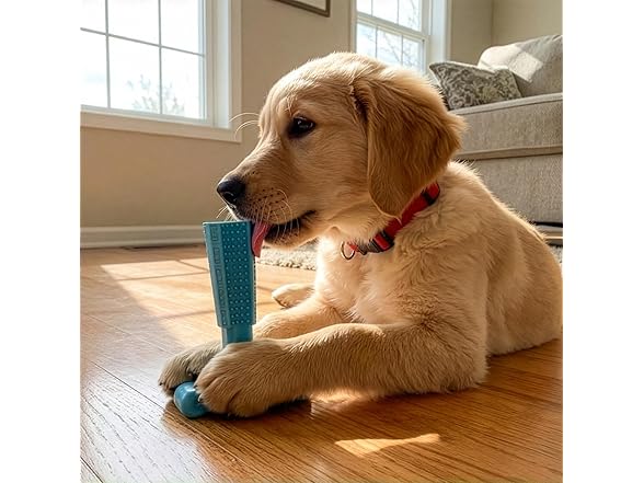 SPOT Bam-Bones Puppy T-Bone Dog Chew Toy- 6" Blue
