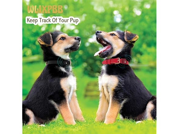 Airtag Leather Dog Collar for Small Medium L