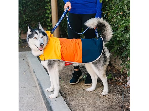 Eddie Bauer Ravenna Colorblocked Dog Windbreaker Jacket