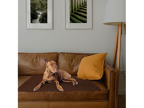 ariika Waterproof Couch Covers