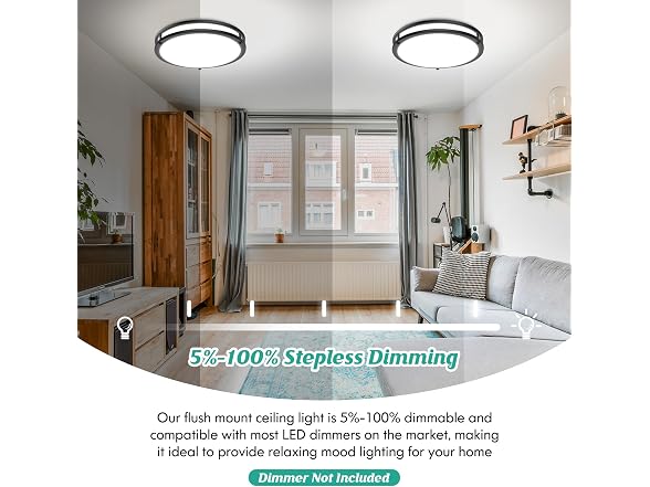 Brightever B0FS1M3W8T 18 Inch Black Ceiling Light