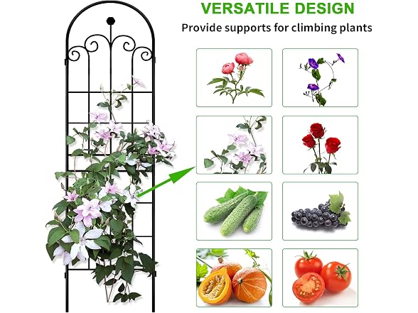 LZRS W0782 Decoration Garden Trellis