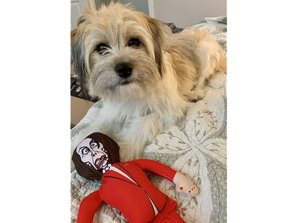 Republican Dogs Nancy Pelosi Novelty Dog Chew
