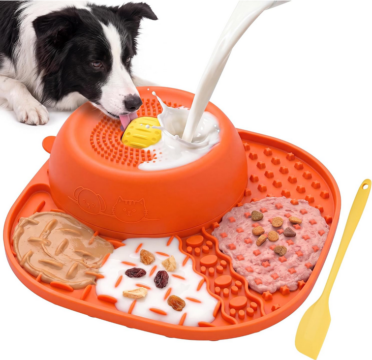 CEBOWA BSlow Feeder Dog Bowl - Gallery 13