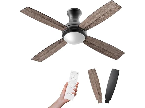 Consciot 52 Inch Black Ceiling Fan with Lights
