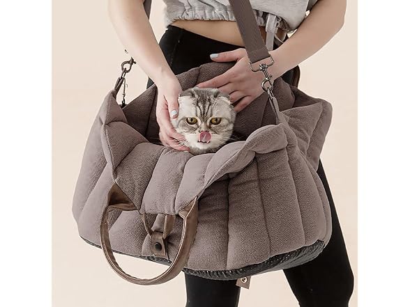 Peppy Buddies Dog Car Seat & Dog Purse