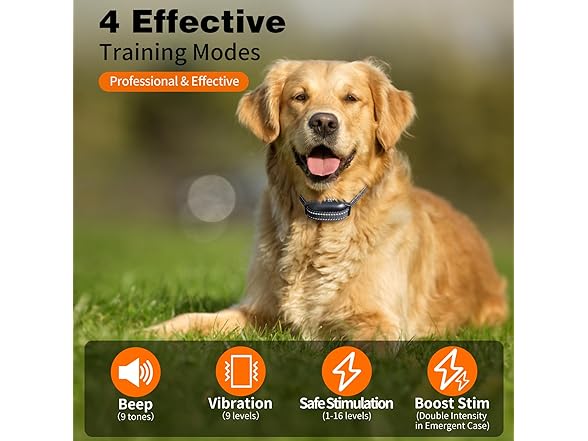 YLYT Dog Training E-Collar, 4 Modes