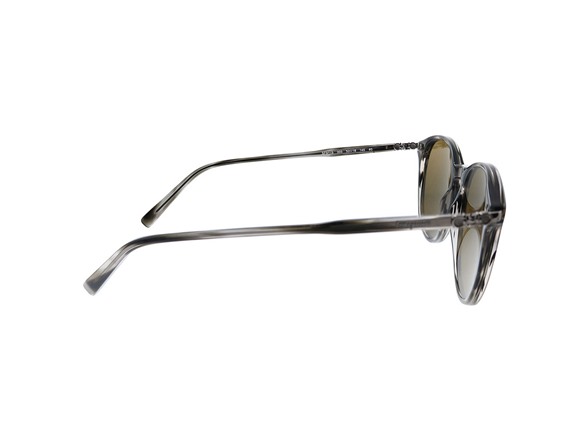 Ferragamo Men's 53mm Grey Sunglasses