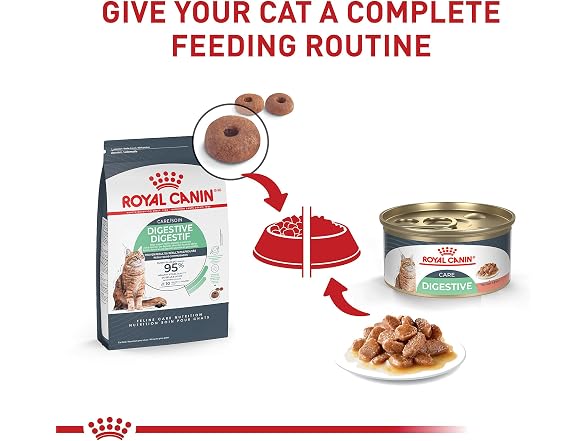 24Pk Royal Canin Feline Care Nutrition Digestive