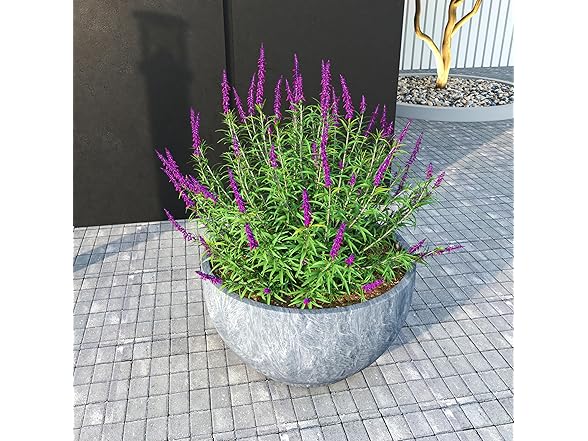 LeisureMod GP8AC Grove Planter Aged Concrete, 8"