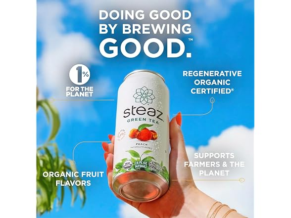 Steaz - Organic Green Tea - Mint (12 Pack)