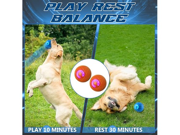 Shaky Ball Toy for Dogs,Shaking Dog Ball,Inte