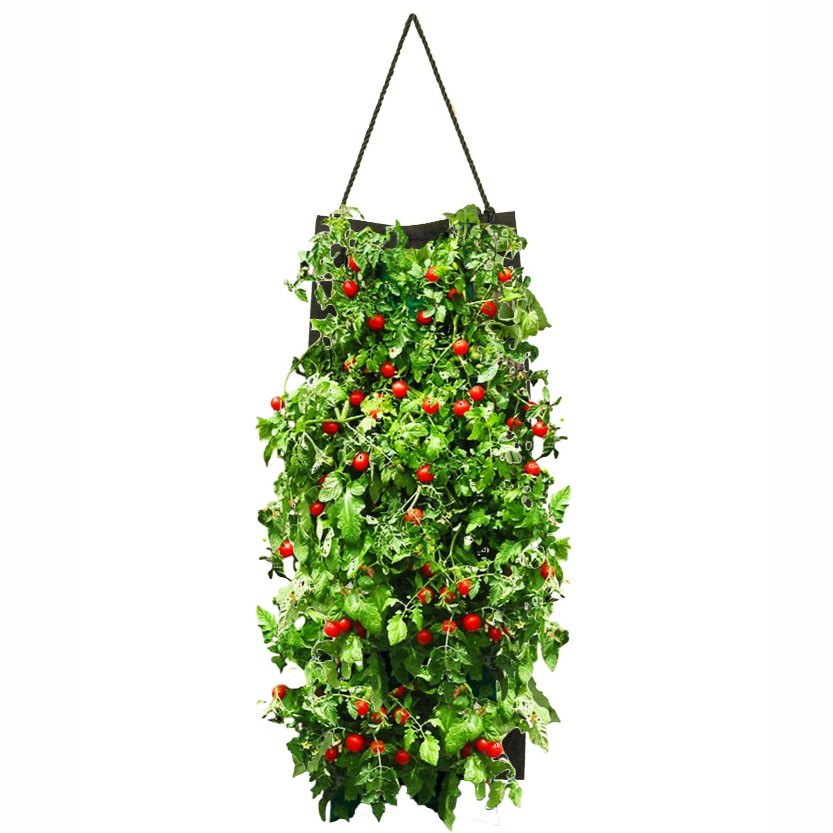 Hanging Tomato Planter Bag - Combo Kit - Gallery 7