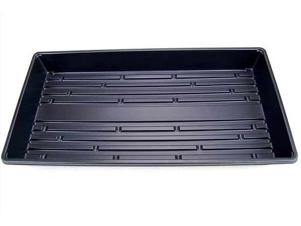 Mountain Valley 100 Plant Grow Kits