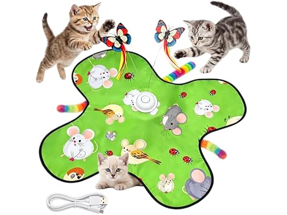 VEHICAR 3-in-1 Interactive Cat Toy