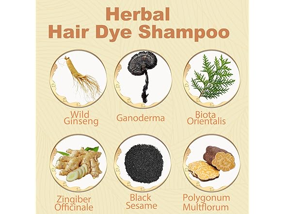 NCEPROHR Instant Brown Hair Dye Shampoo