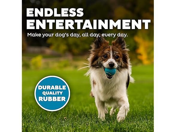 Outward Hound Squeaker Ballz 4-Pack