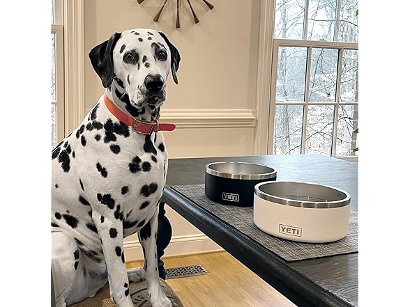 YETI Boomer 8, Stainless Steel, Non-Slip Dog Bowl