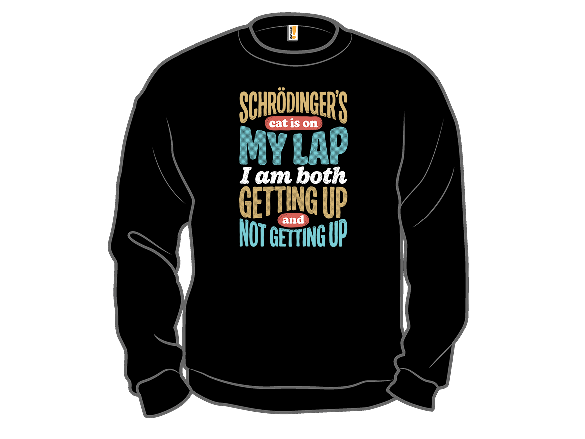 Schrodinger's Lap - Gallery 11