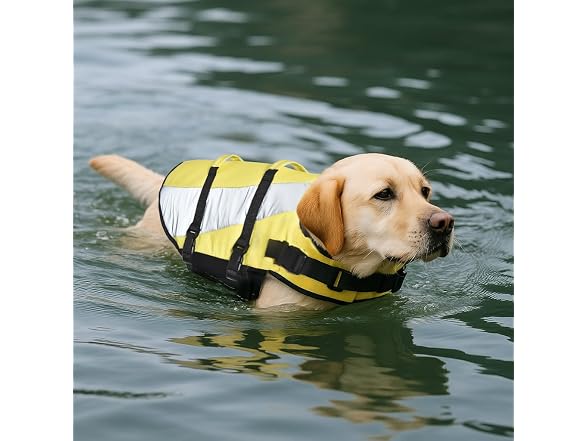 Amazon Basics Dog Adjustable Life Jacket w Reflective Stripes