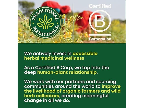 16CT Traditional Medicinals Organic Raspberry Leaf