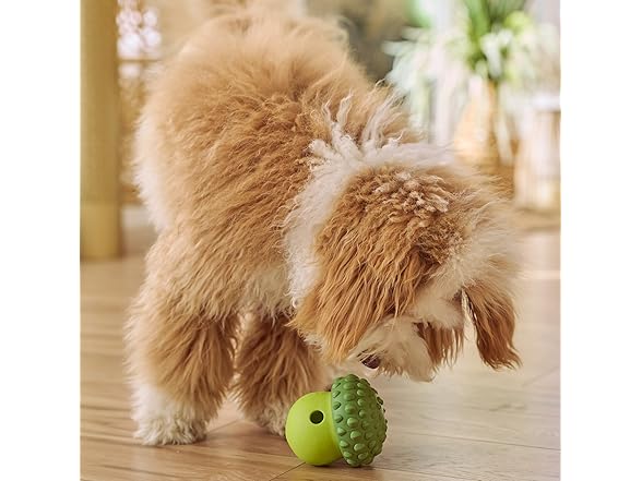 SPOT Treat Tumbler Broccoli – Freezable & Fillable