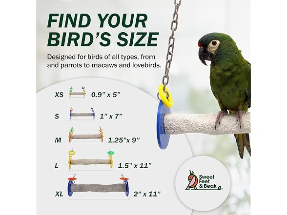 Sweet Feet and Beak Roll Bird Swing
