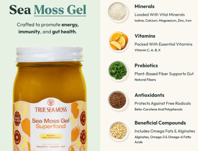 TrueSeaMoss Sea Moss Gel 16oz - Gallery 12