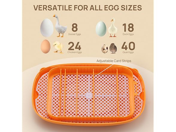 TURBRO PH24A Incubator for Hatching Eggs