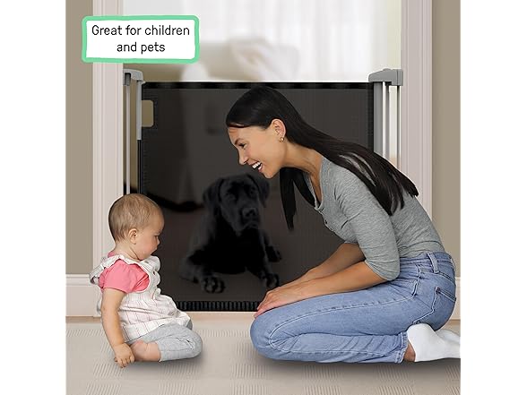 The Thruway 52W Series Retractable Gate