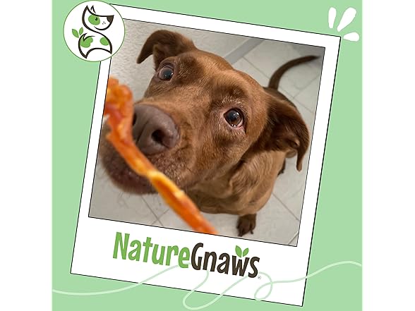 Nature Gnaws USA Turkey Tendons for Dogs 8 oz.
