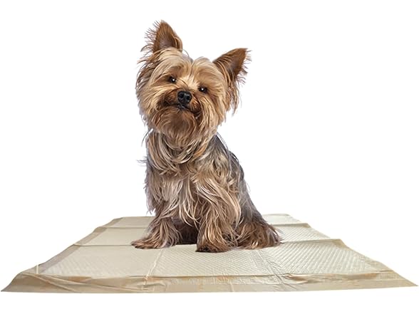 WizSmart Essentials Large Dog Pads, 23.5" x 22"