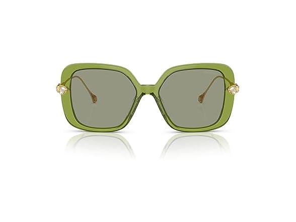 Swarovski SK6011 Sunglasses