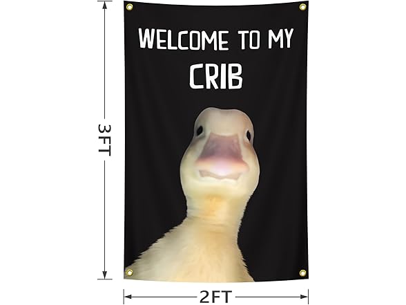 Generic Fun Poster Welcome to My Crib