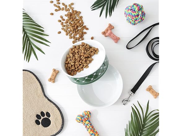 Bone Dry Trellis Paw Print Pet Bowl Set