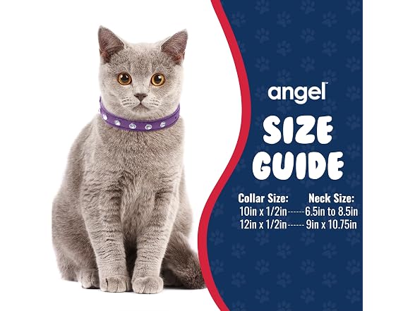 Athens Cat Collar, Leather Kitten Collar w/Rhinestones