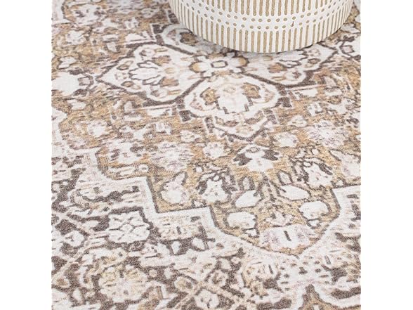 Superior 10'x14' Geometric Floral Medallion Indoor Area Rug