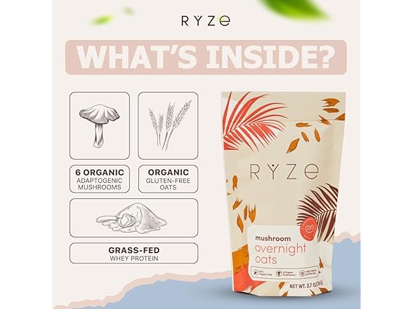 7PK RYZE SUPERFOODS Mushroom Protein Oats