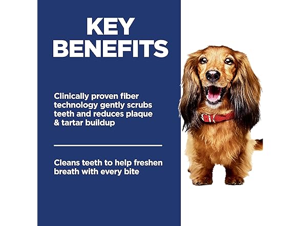 Hill's Science Diet Adult Oral Care Dry Dog Food