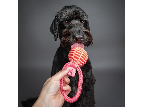 NOAH & PAW Luxury Dog Toy, TPU- Tug Ball, Pink
