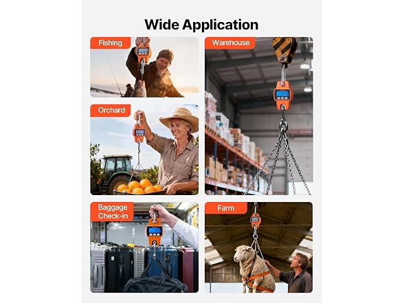 Digital Crane Scale, 660 lbs/300 kg, Industrial