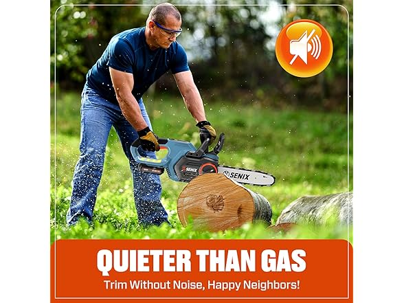 0.73 HP 10" SENIX Cordeless Chainsaw 