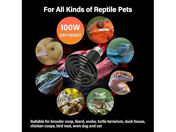 100W Ceramic Heat Emitter 2pk