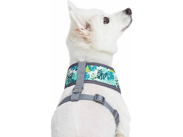 Blueberry Pet Essentials Soft & Comfy Bahama