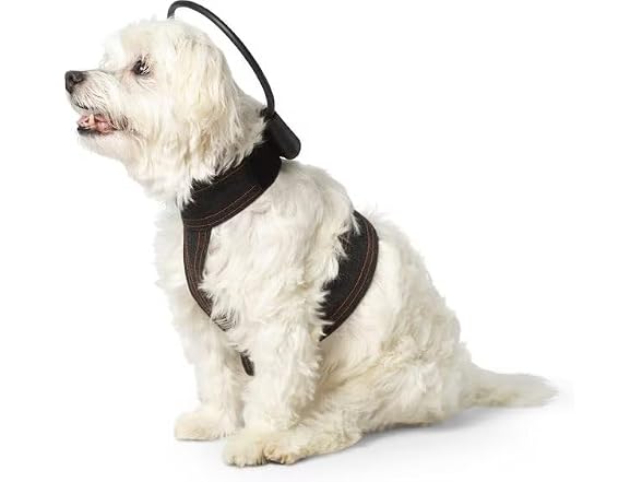 Calmer Canine Anxiety Treatment tPEMF System