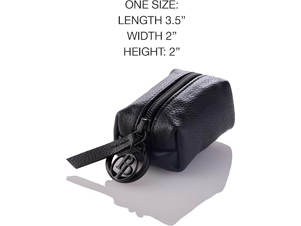 Rein - The Recycled Vegan Leather Pouch w Bags