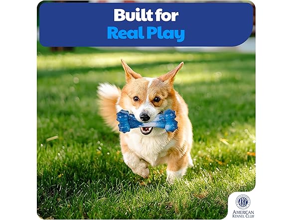 American Kennel Club Training Dog Chew Toy, Ombre