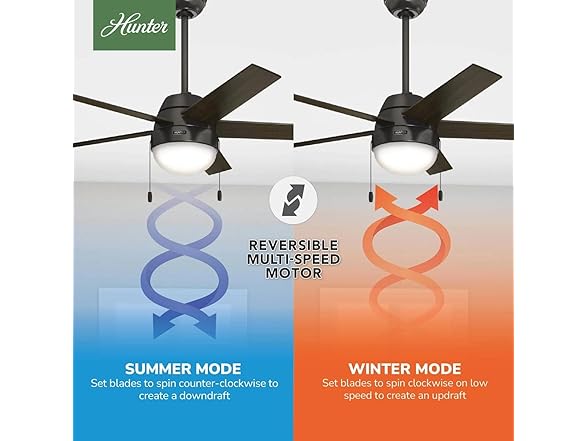 Hunter Fan 52 Inch with Light and Pull Chain