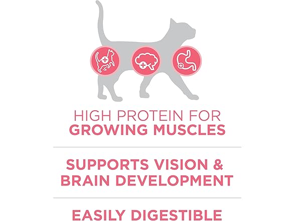 Purina ONE High Protein, Natural Dry Kitten Food