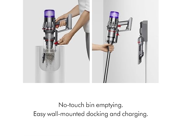 (NEW) Dyson 496076-01 V9 Limited Edition
